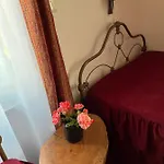 куклите *