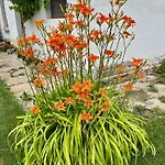 Hébergement de vacances куклите