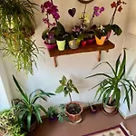 Hébergement de vacances куклите *