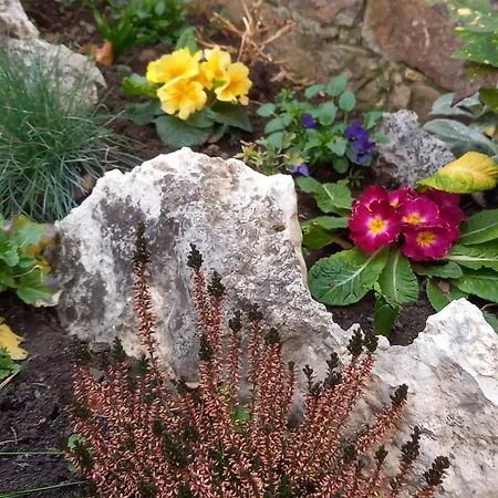 Case de vacanță куклите *