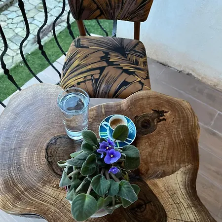 Case de vacanță куклите *