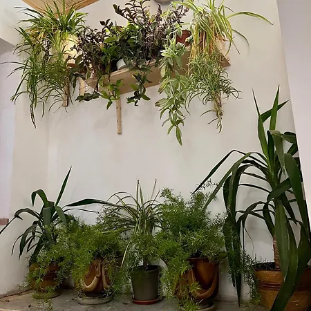 куклите Vakantiehuis