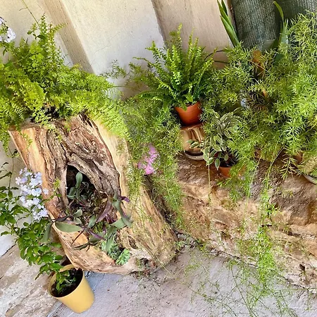 куклите Prázdninový dům Petrevene