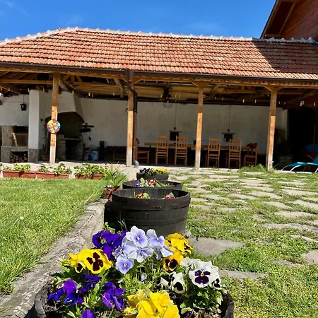 куклите Petrevene