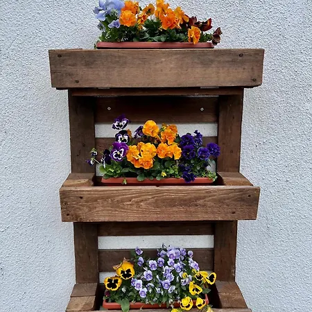 куклите Prázdninový dům