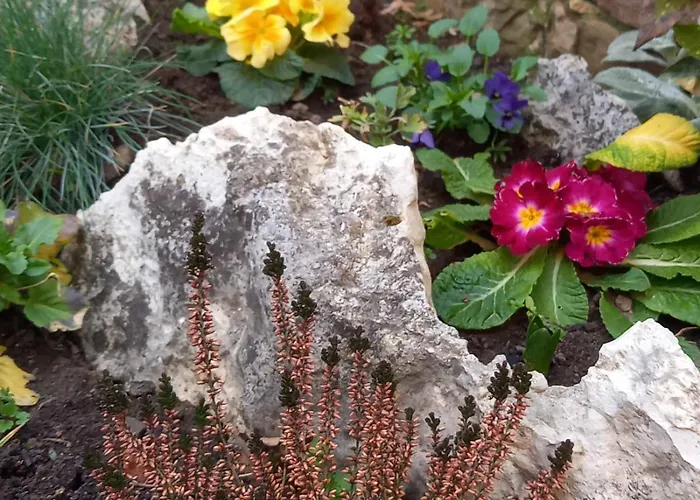 Ваканционна къща куклите *