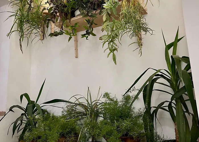 куклите Hébergement de vacances