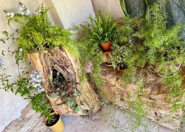 куклите Hébergement de vacances Petrevene