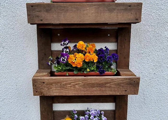 куклите Hébergement de vacances