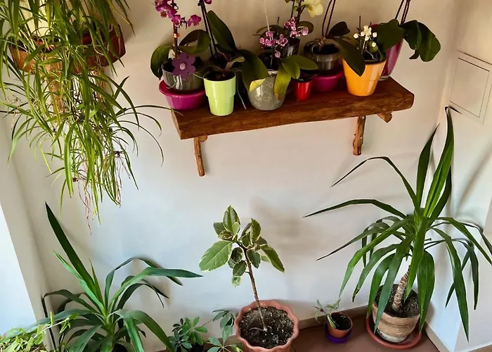 Hébergement de vacances куклите *